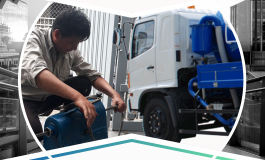 THÔNG CỐNG CẦU NGHẸT