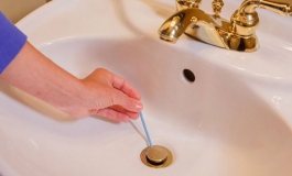 THÔNG CẦU CỐNG NGHẸT 