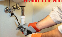 THÔNG CẦU NGHẸT